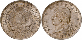Argentina. 1894. 2 centavos. (Kr. 33). Leves golpecitos. Parte de brillo original. CU. 9,97 g. MBC+.