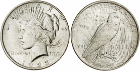 Estados Unidos. 1923. Filadelfia. 1 dólar. (Kr. 150). AG. 26,76 g. EBC.