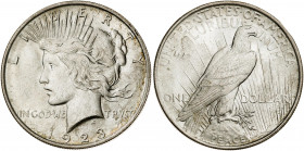 Estados Unidos. 1923. Filadelfia. 1 dólar. (Kr. 150). AG. 26,69 g. EBC+.