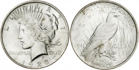 Estados Unidos. 1923. Filadelfia. 1 dólar. (Kr. 150). AG. 26,77 g. EBC+.