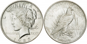 Estados Unidos. 1923. Filadelfia. 1 dólar. (Kr. 150). AG. 26,73 g. EBC+.