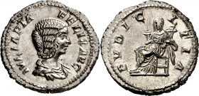 (211 d.C.). Julia Domna. Denario. (Spink 7105) (S. 172a) (RIC. 385, de Caracalla). Bella. 3,53 g. EBC.