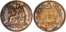 Guatemala 1 Peso 1896 /5 Overdate
KM# 210, N# 22042; Silver; AUNC/UNC-