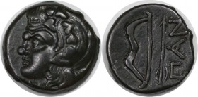 Griechische Münzen, BOSPORUS. Pantikapaion Bosporus Pan Satyr Pfeil und Bogen "ПАN". AE 340-250 v. Crh, (7.35 g. 20 mm.) Sehr schön-vorzüglich