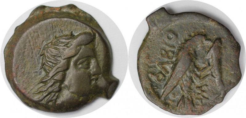 Griechische Münzen, BOSPORUS. Olbia. Bronze (3.68 g. 19 mm) 260 - 250 v. Chr, Se...