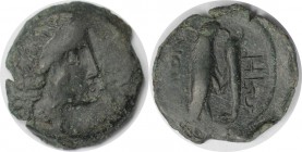 Griechische Münzen, BOSPORUS. Olbia. Bronze (3.27 g. 19 mm) 260 - 250 v. Chr, ehr schön