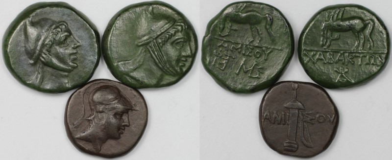 Griechische Münzen, Lots und Samlungen griechischer Münzen. PONTUS. Amisos. Lot ...