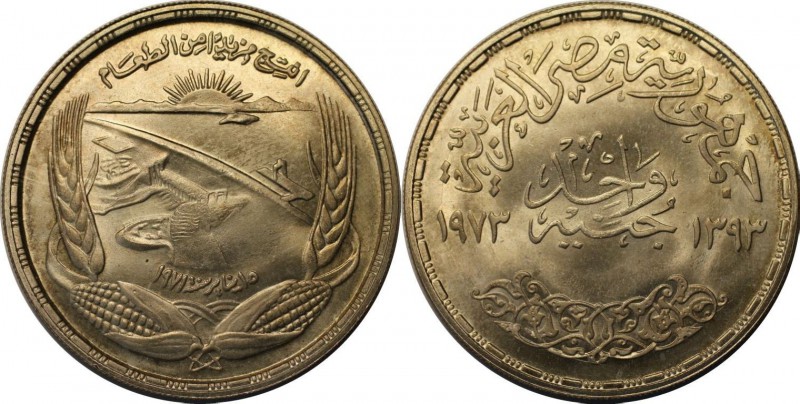 Weltmünzen und Medaillen, Ägypten / Egypt. 1 Pound 1973, Silber. 0.58 OZ. Stempe...