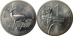 Weltmünzen und Medaillen, Israel. "Roe and lily". 1 New Sheqel 1992, Silber. 0.43 OZ. KM 231. Stempelglanz
