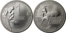 Weltmünzen und Medaillen, Israel. Wildleben - junger Bock. 1 New Sheqel 1993, Silber. 0.43 OZ. KM 243. Stempelglanz