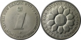 Weltmünzen und Medaillen, Israel. Globus mit Blumen. 1 New Sheqel 1994, Silber. 0.43 OZ. KM 252. Stempelglanz