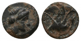 CARIA, Islands off. Rhodes . Circa 350-300 BC. Æ.

Weight: 1 gr
Diameter: 10,9 mm