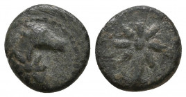 Greek
Pontos circa 130-100 BC. Bronze Æ

Weight: 1,7 gr
Diameter: 11,8 mm