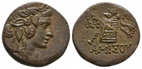 AMISOS. Pontos. 2nd-1st Century B.C. 

Weight: 8,9 gr
Diameter: 20,9 mm