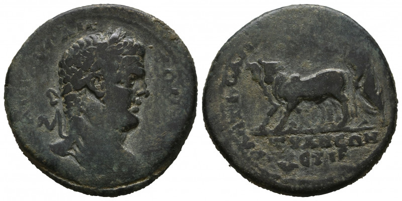 Cappadocia, Tyana. Caracalla. A.D. 198-217. Æ.

Weight: 14,8 gr
Diameter: 29,...