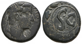 Ancients Roman Provincial
SYRIA. Antioch. Tiberius (AD 14-37). AE.

Weight: 14,1 gr
Diameter: 26,1 mm