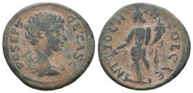 PISIDIA. Antiochia. Geta (209-212). Ae.

Weight: 6 gr
Diameter: 23,1 mm