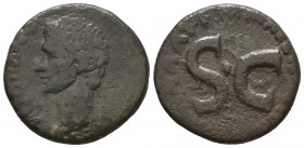 Roman provincial coins
Syria, Seleucis and Pieria, Antioch Æ - Augustus (27 BC - 14 AD)

Weight: 9,6 gr
Diameter: 24,7 mm