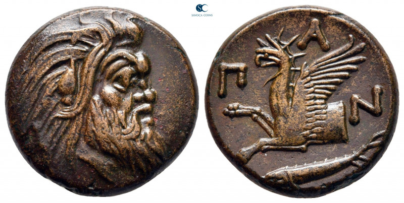 Cimmerian Bosporos. Pantikapaion circa 325-310 BC. 
Bronze Æ

21 mm, 8,00 g
...