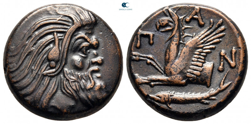 Cimmerian Bosporos. Pantikapaion circa 310-304 BC. 
Bronze Æ

21 mm, 7,25 g
...