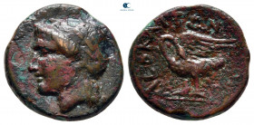 Ionia. Leukai  circa 350-300 BC. Bronze Æ