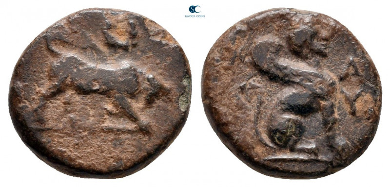Caria. Kaunos circa 350-300 BC. 
Bronze Æ

12 mm, 1,55 g

Bull butting righ...