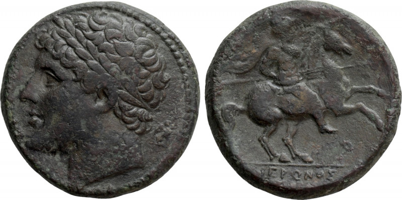 SICILY. Syracuse. Hieron II (King, 269/5-215 BC). Ae. 

Obv: Laureate head lef...