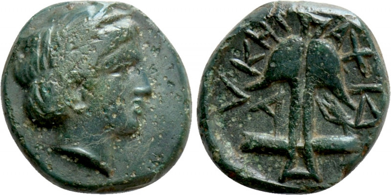 THRACE. Apollonia Pontika. Ae Dichalkon (Mid 4th-3rd centuries BC). 

Obv: Lau...