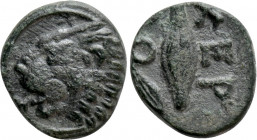 THRACE. Chersonesos. Ae (Circa 386-309 BC)