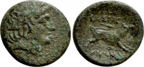KINGS OF BITHYNIA. Nikomedes I(?). Ae (Circa 280-250 BC). NIkaia