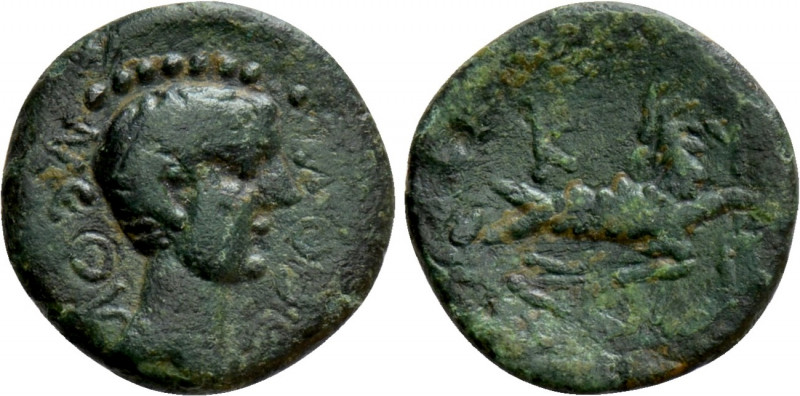 MYSIA. Cyzicus. Uncertain (1st century BC - 1st century AD). 

Obv: NЄOY ΘЄOY....