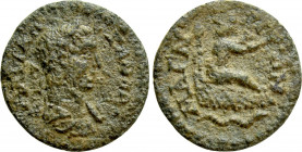 IONIA. Magnesia ad Maeandrum. Severus Alexander (222-235). Ae