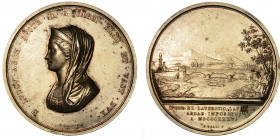MARIA LUIGIA D'AUSTRIA, 1815-1847. PONTE SUL FIUME ARDA. Medaglia in argento 1836.