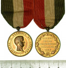 ITALIA - TOSCANA. LEOPOLDO II D'ASBURGO-LORENA, 1824-1859. Medaglia in bronzo dorato emessa a ricordo della partecipazione alla guerra d'indipendenza ...
