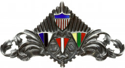 Lithuania Badge (1947) US Military Labor Service (MLS); the badge is issued in 1947 in Germany; in American zone; where served Baltic DP's (Displaced ...
