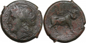 Greek Italy. Samnium, Southern Latium and Northern Campania, Cales. AE 22.5 mm, c. 265-240 BC. Obv. CALENO. Laureate head of Apollo left; [behind, unc...