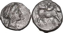 Greek Italy. Central and Southern Campania, Neapolis. AR Didrachm, c. 326-317/10 BC. Obv. Diademed head of nymph right; grape bunch to left, grain-ear...