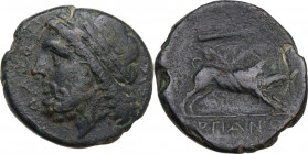 Greek Italy. Northern Apulia, Arpi. AE 21 mm, c. 325-275 BC. Obv. Laureate head of Zeus left; behind, thunderbolt. Rev. Boar charging right; above, sp...