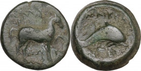 Greek Italy. Northern Apulia, Salapia. AE 20 mm, c. 275-250 BC. Obv. Horse stepping right. Rev. Dolphin right. HN Italy 685. AE. 7.10 g. 18.50 mm. Abo...