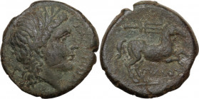 Greek Italy. Northern Apulia, Salapia. AE 20 mm, c. 225-210 BC. Obv. Head of Apollo right, laureate. Rev. Horse walking right; above, trident. HN Ital...