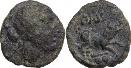 Greek Italy. Northern Lucania, Poseidonia-Paestum. AE Sextans, c. 218-211 BC. Obv. Head of Ceres right; behind, two pellets. Rev. Boar right; above, P...
