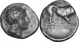 Greek Italy. Northern Lucania, Velia. AR Nomos, c. 340-334 BC. Obv. Head of Athena right, wearing Attic helmet decorated with griffin; behind, neck-gu...