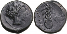 Greek Italy. Southern Lucania, Metapontum. AE Obol, c. 425-350 BC. Obv. Wreathed head of Demeter right. Rev. Grain ear; OBOΛOΣ to left, poppy head (?)...