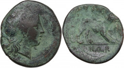 Greek Italy. Bruttium, Rhegion. AE 24 mm, c. 260-215 BC. Obv. Head of Apollo right; wreath(?) behind. Rev. Lion walking right. HN Italy 2562; HGC 1 17...