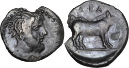 Sicily. Abakainon. AR Litra, c. 420 BC. Obv. Bearded male head right. Rev. ABA. Sow standing right on exergue line; acorn to right. HGC 2 17. AR. 0.70...