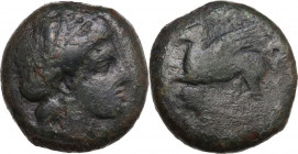 Sicily. Entella. Campanian Mercenaries. AE 20 mm, c. 316/10-300/290 BC. Obv. Wreathed head of Persephone right. Rev. Pegasos flying left; [helmet to l...