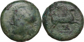 Sicily. Entella. Campanian Mercenaries. AE 18.5 mm, c. 316/10-300/290 BC. Obv. Bearded male head left, wearing Campanian helmet decorated with wreath....