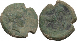 Sicily. Nakona. AE 18 mm. (Hexas?), late 5th cent. BC. Obv. Female head right. Rev. Sheep standing right; [leaf and barley-grain before]. HGC 2 962; C...