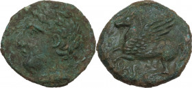 Sicily. Panormos as Ziz. AE Hemilitron, c. 380-340 BC. Obv. Laureate head of Apollo left; dolphin behind. Rev. Punic 'sys', Pegasos flying left. HGC 2...