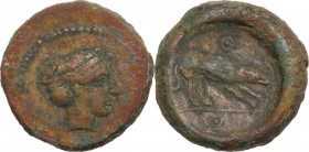 Sicily. Segesta. AE Hexas, c. 416/5-410 BC. Obv. Head of nymph Aigiste right, hair bound. Rev. Hound scenting right; annulet above and below. CNS I 9;...